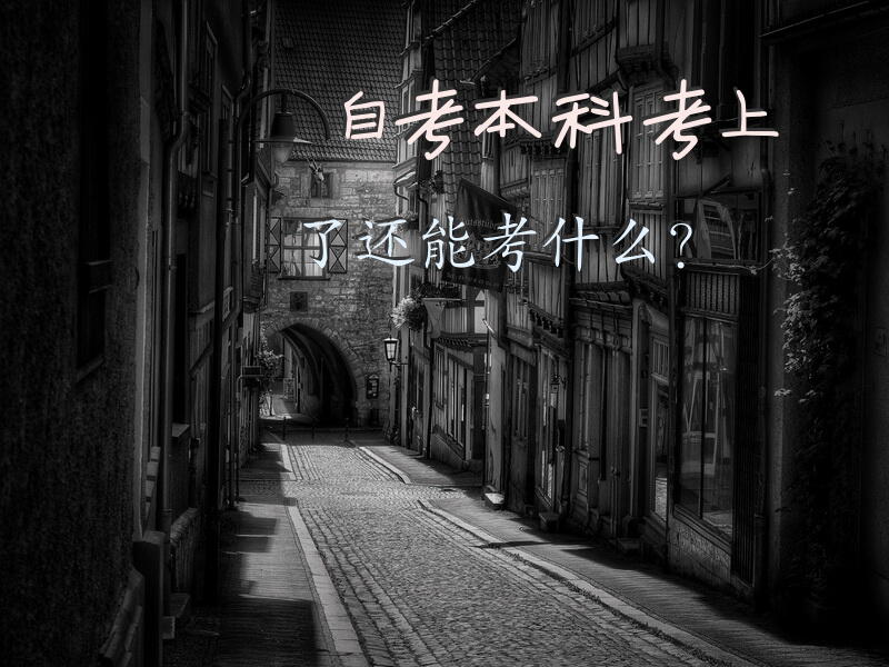 自考本科考上了还能考什么？