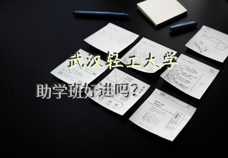 武汉轻工大学助学班好进吗？