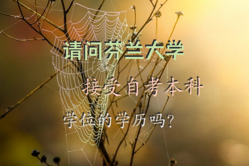 请问芬兰大学接受自考本科学位的学历吗？