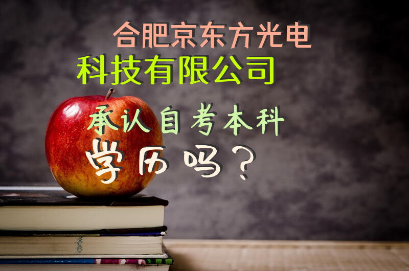 合肥京东方光电科技有限公司承认自考本科学历吗？