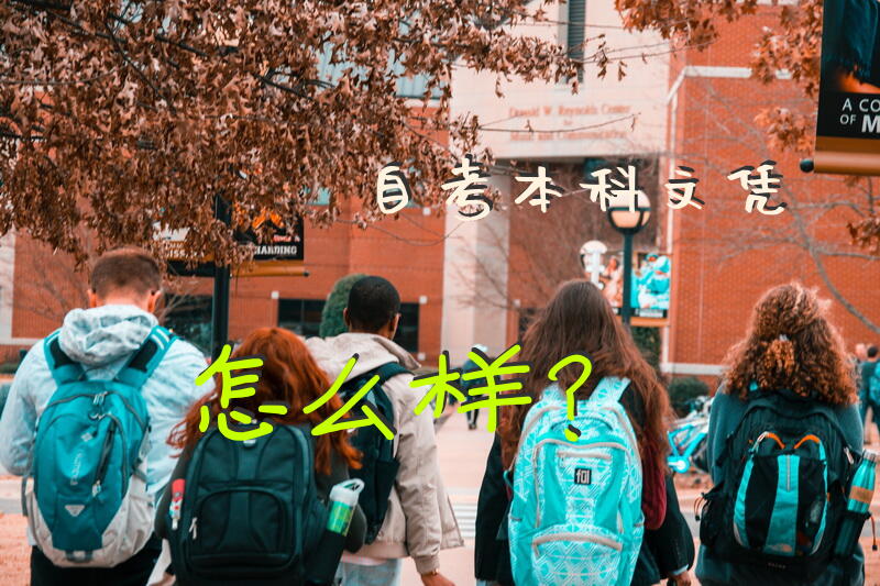 自考本科文凭怎么样？