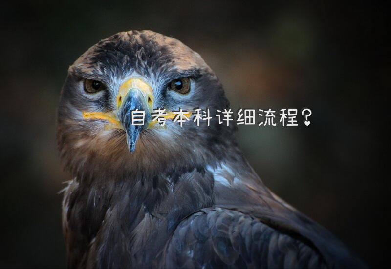 自考本科，详细流程？