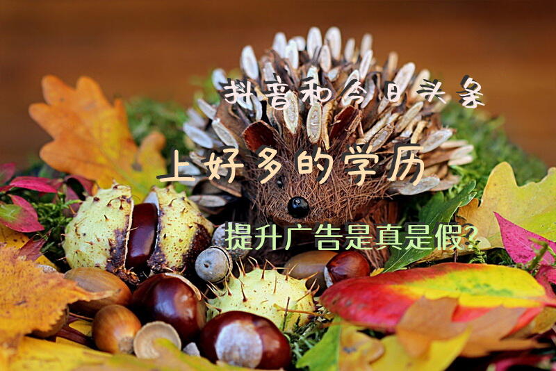 抖音和今日头条上好多的学历提升广告是真是假？