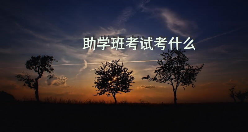 助学班考试考什么？