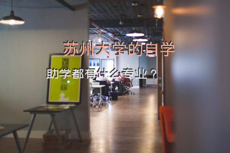 苏州大学的自学助学都有什么专业？