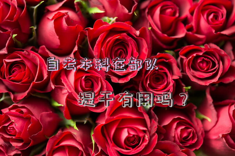 自考本科在部队提干有用吗？