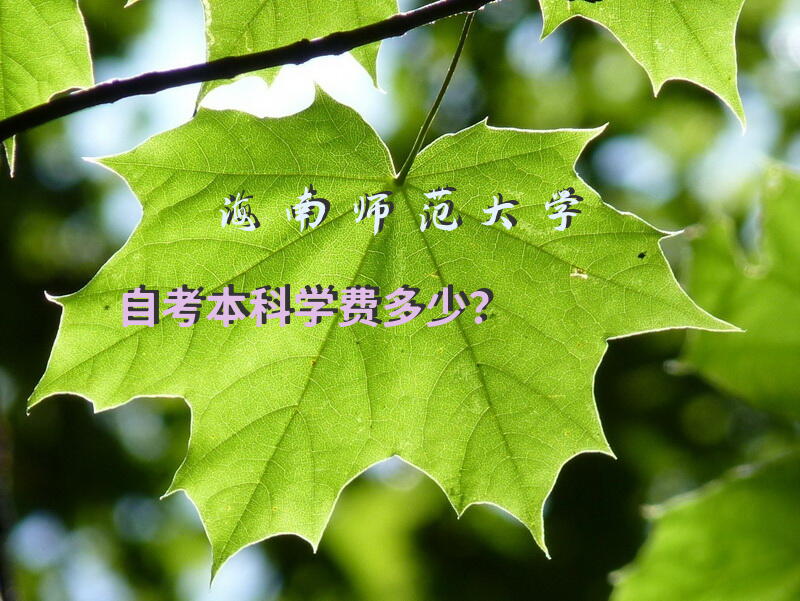 海南师范大学自考本科学费多少？