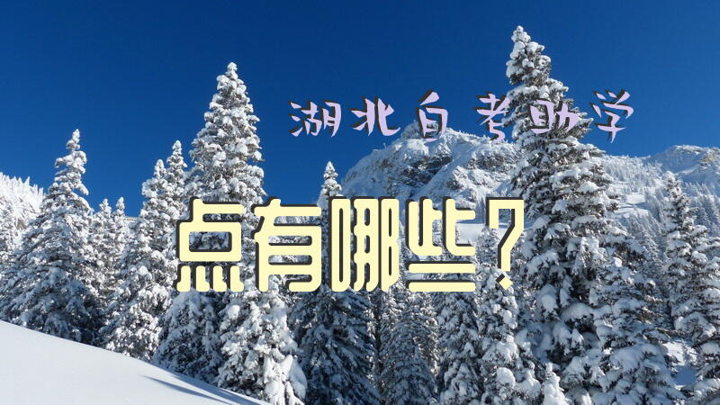 湖北自考助学点有哪些？