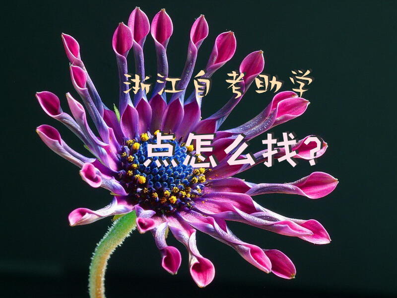 浙江自考助学点怎么找？