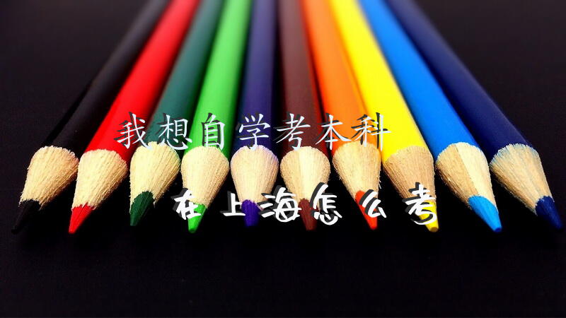 我想自学考本科在上海怎么考