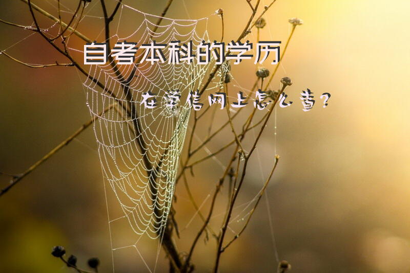 自考本科的学历，在学信网上怎么查？