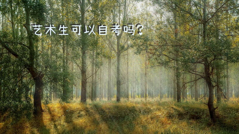 艺术生可以自考吗？