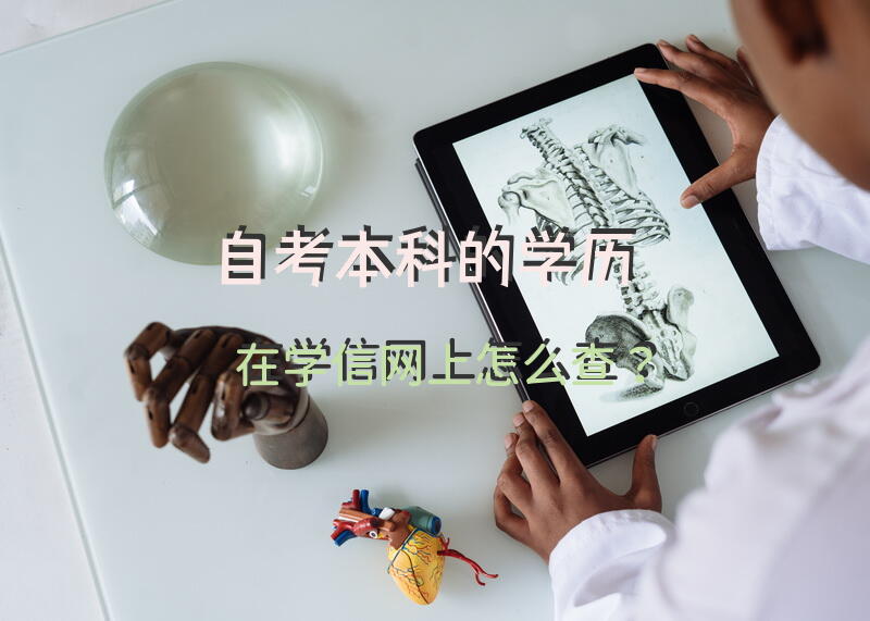 自考本科的学历，在学信网上怎么查？