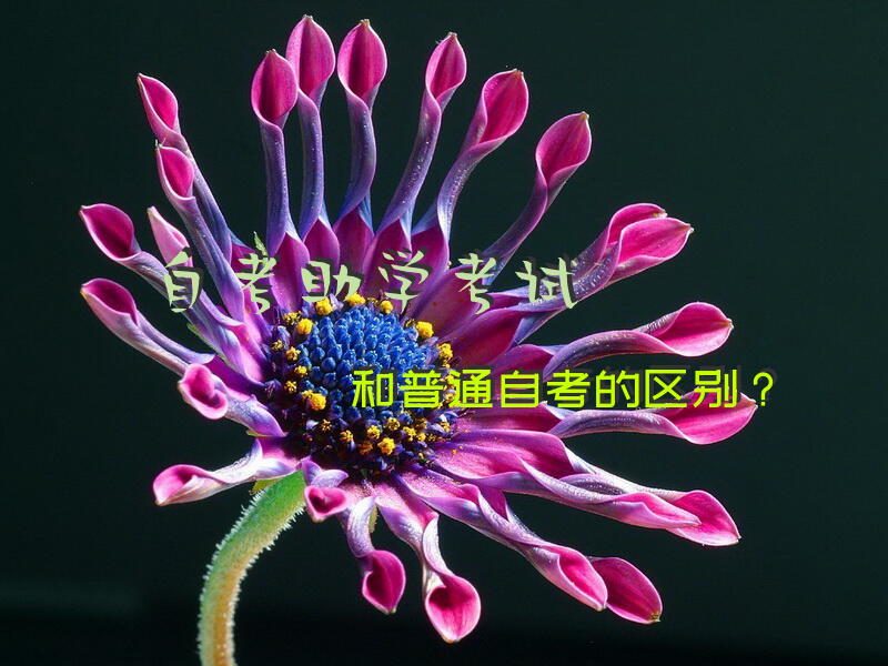 自考助学考试和普通自考的区别？