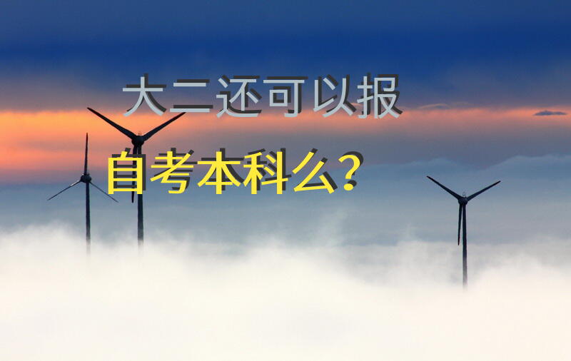 大二还可以报自考本科么？
