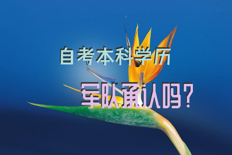 自考本科学历军队承认吗？