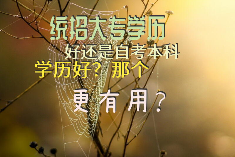 统招大专学历好还是自考本科学历好？那个更有用？