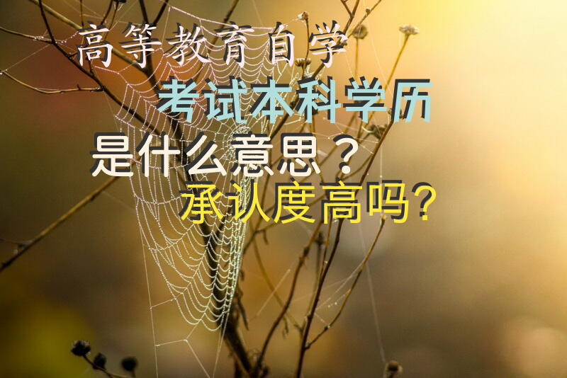 高等教育自学考试本科学历是什么意思？承认度高吗？