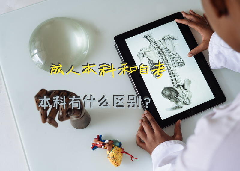 本科和自考本科有什么区别？