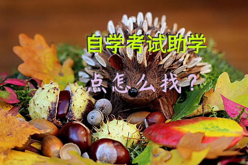 自学考试助学点怎么找？