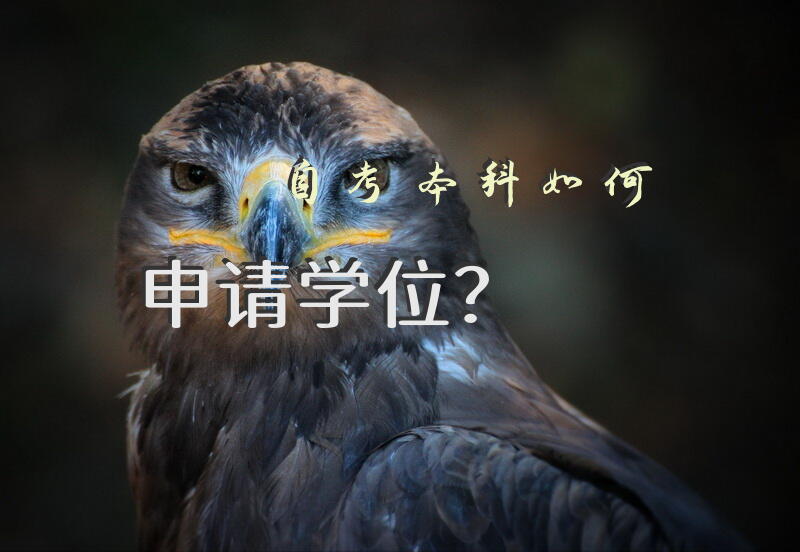 自考本科如何申请学位？