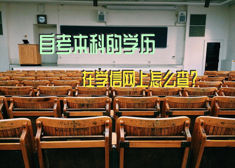自考本科的学历，在学信网上怎么查？