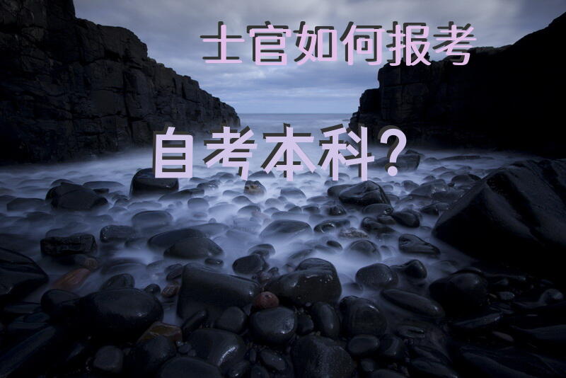 士官如何报考自考本科？