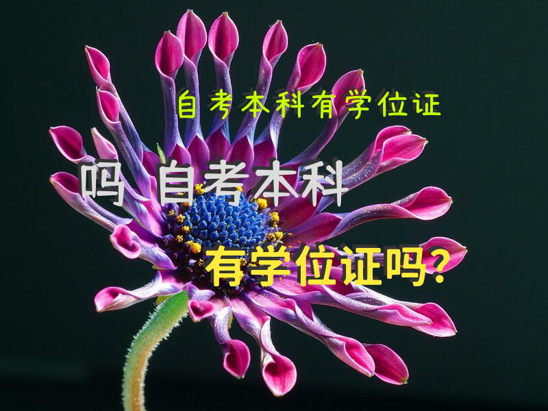 自考本科有学位证吗？自考本科有学位证吗？
