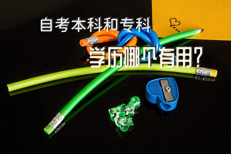 自考本科和专科学历哪个有用？