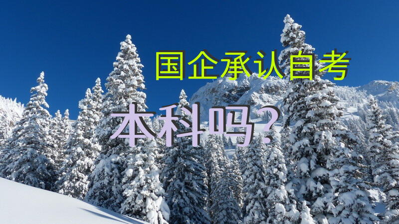 国企承认自考本科吗？