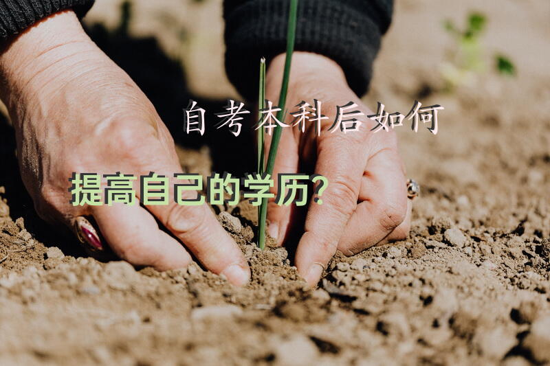 自考本科后如何提高自己的学历？