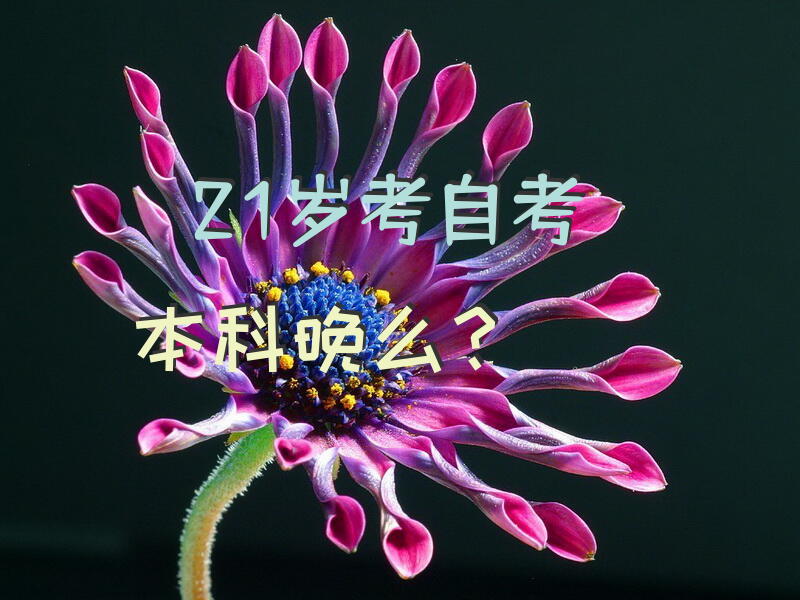 21岁考自考本科晚么？