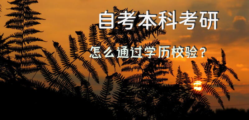 自考本科考研怎么通过学历校验？