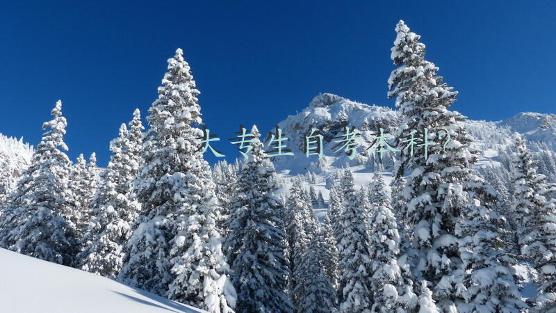 大专生自考本科？