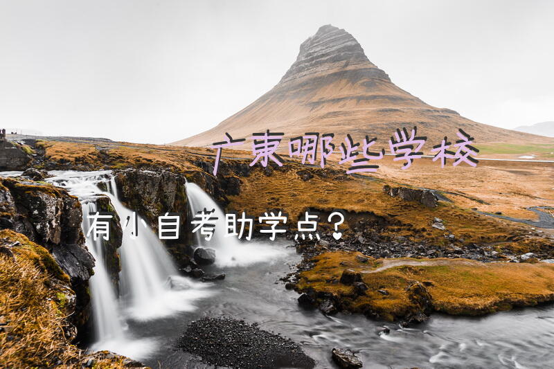 广东哪些学校有小自考助学点？
