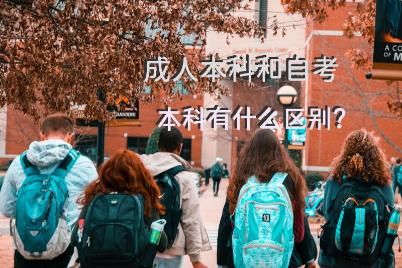 本科和自考本科有什么区别？