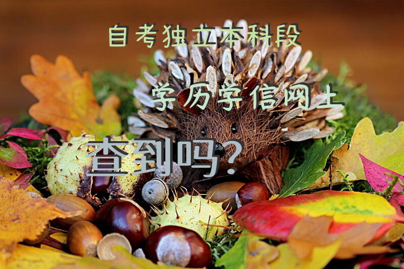 自考独立本科段学历学信网上查到吗？