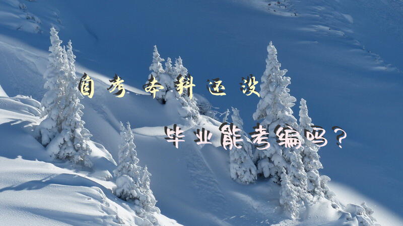 自考本科还没毕业能考编吗？