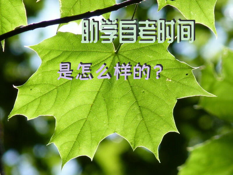 助学自考时间是怎么样的？