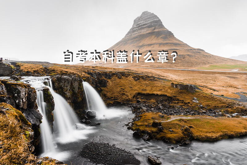 自考本科盖什么章？