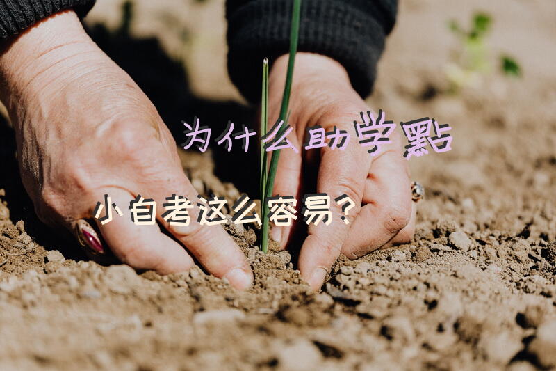 为什么助学点小自考这么容易？