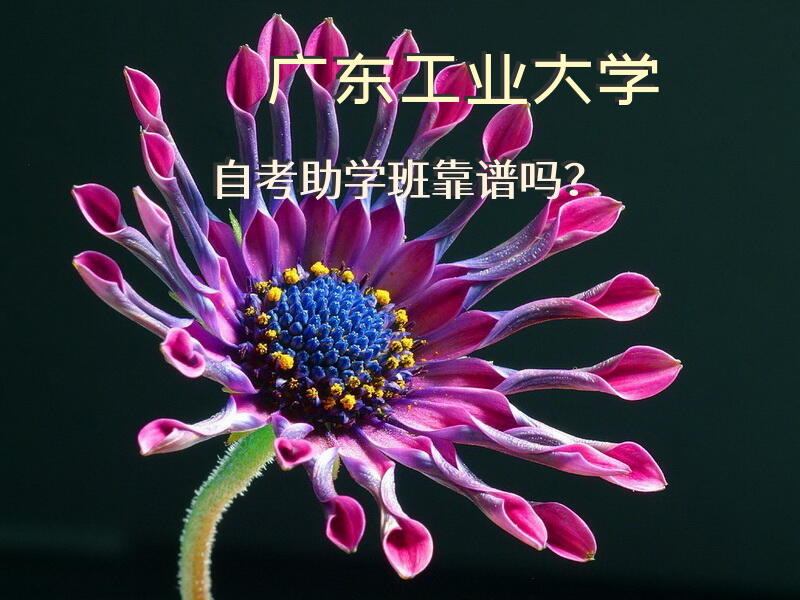 广东工业大学自考助学班靠谱吗？
