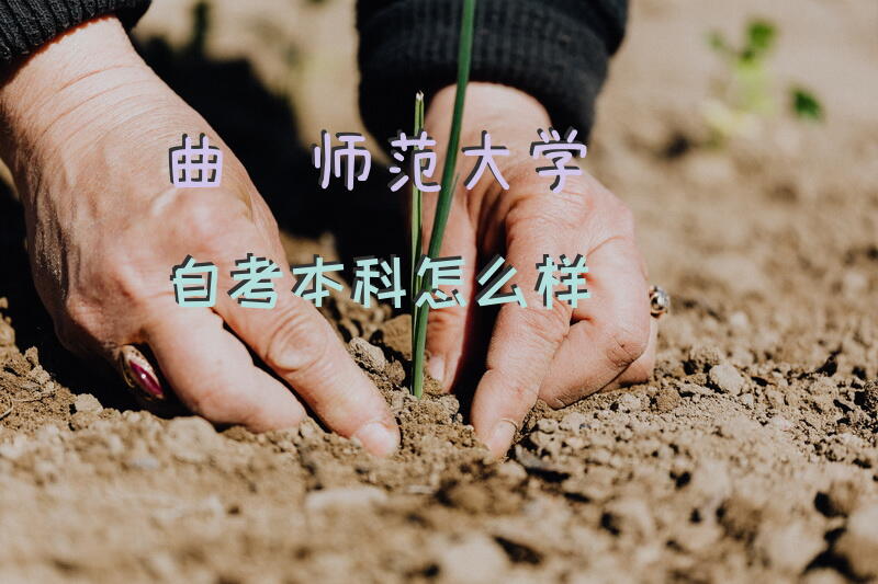 曲阜师范大学自考本科怎么样