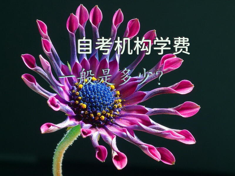 自考机构学费一般是多少？
