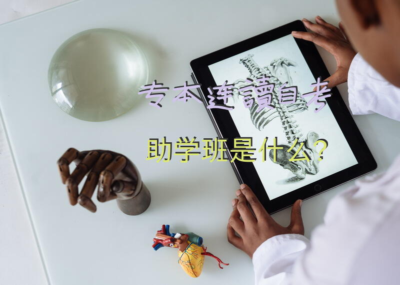 专本连读自考助学班是什么？