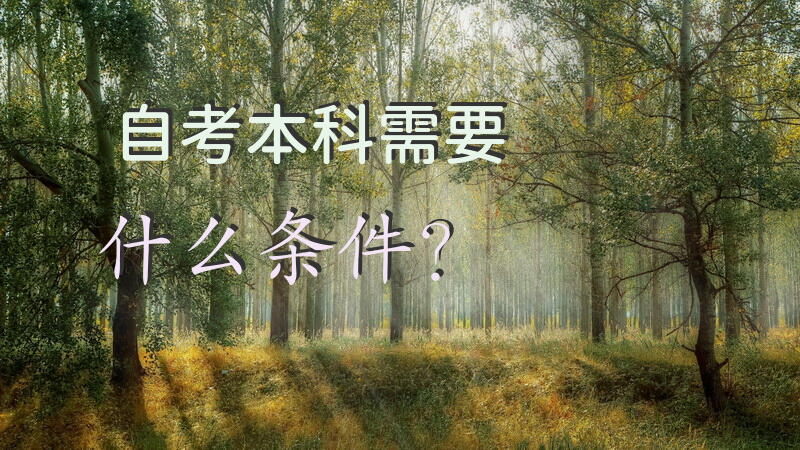 自考本科需要什么条件？