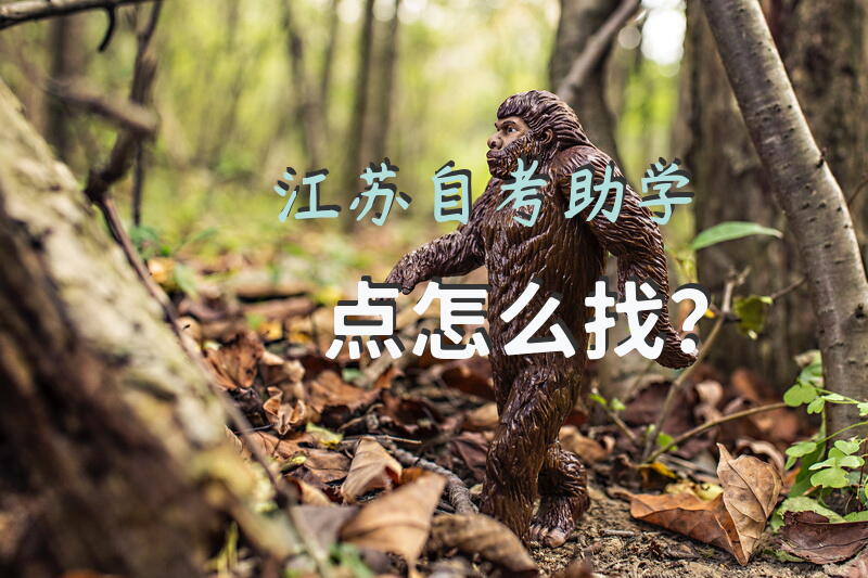 江苏自考助学点怎么找？