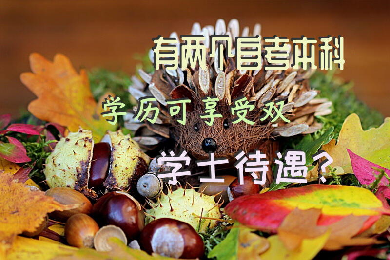 有两个自考本科学历，可享受双学士待遇？