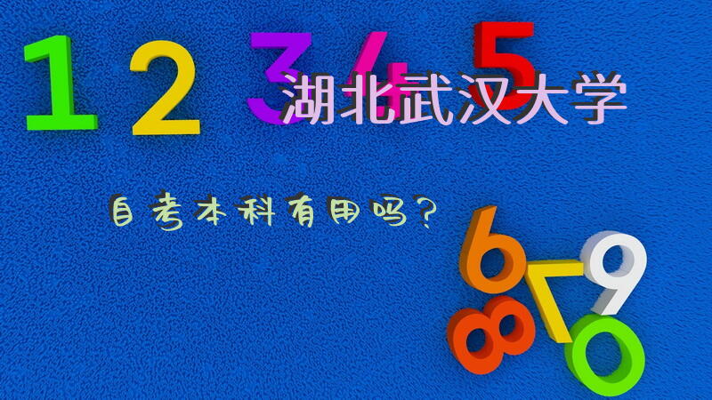 湖北武汉大学自考本科有用吗？