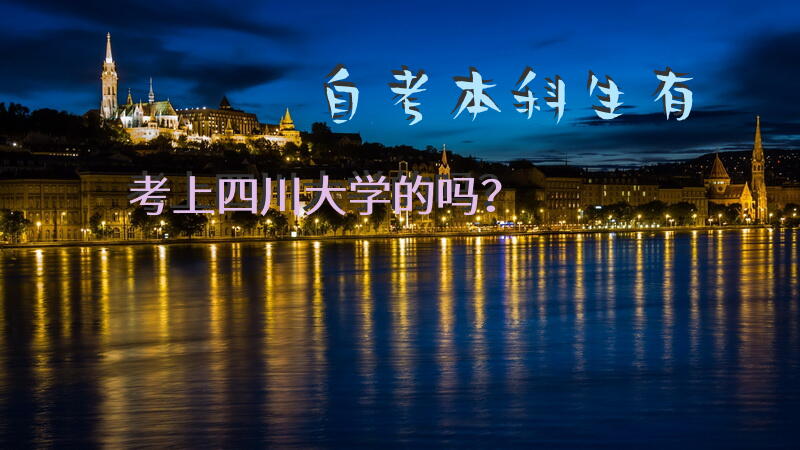 自考本科生有考上四川大学的吗？